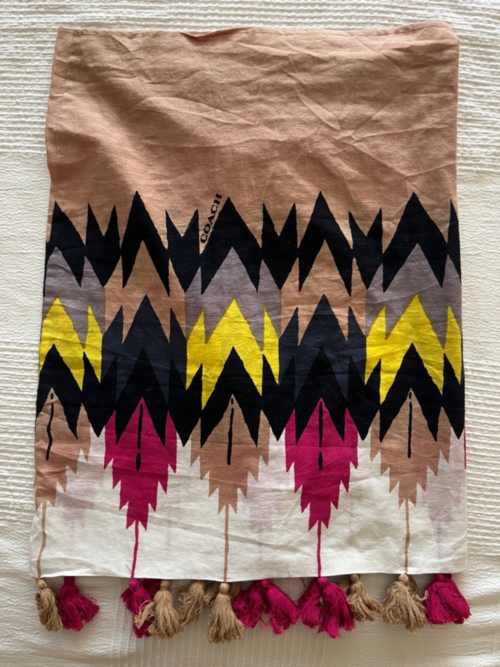 Coach Infinity Tassel Scarf